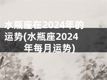水瓶座在2024年的运势(水瓶座2024年每月运势)