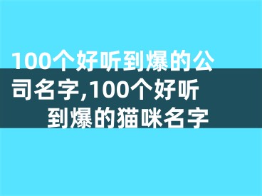 100个好听到爆的公司名字,100个好听到爆的猫咪名字