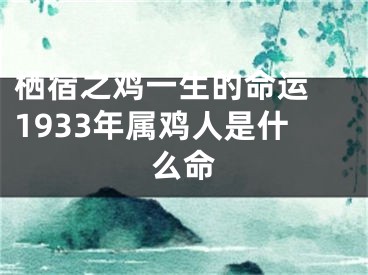 栖宿之鸡一生的命运 1933年属鸡人是什么命