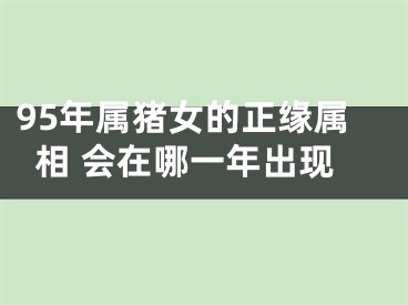 95年属猪女的正缘属相 会在哪一年出现