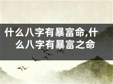 什么八字有暴富命,什么八字有暴富之命