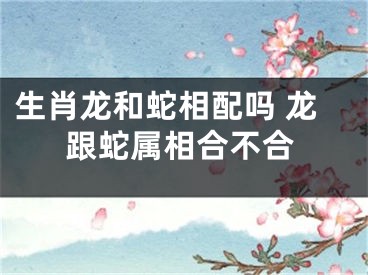 生肖龙和蛇相配吗 龙跟蛇属相合不合