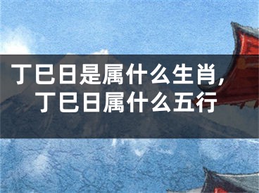 丁巳日是属什么生肖,丁巳日属什么五行