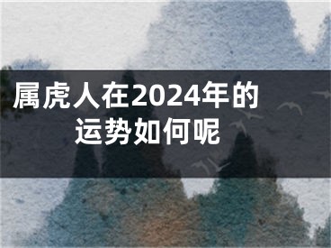 属虎人在2024年的运势如何呢 