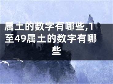 属土的数字有哪些,1至49属土的数字有哪些