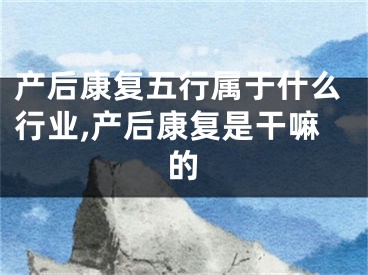 产后康复五行属于什么行业,产后康复是干嘛的