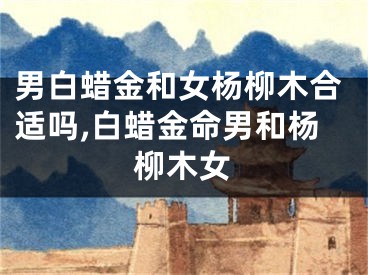 男白蜡金和女杨柳木合适吗,白蜡金命男和杨柳木女