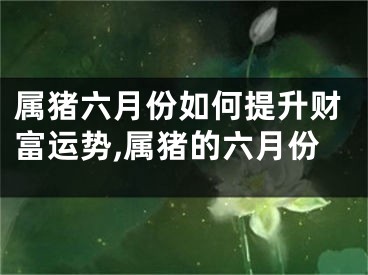属猪六月份如何提升财富运势,属猪的六月份