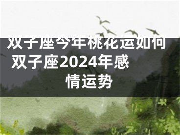 双子座今年桃花运如何 双子座2024年感情运势