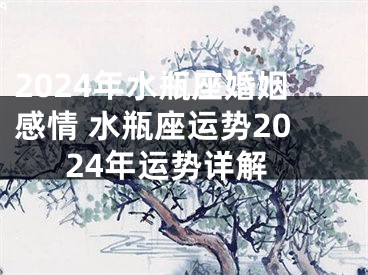 2024年水瓶座婚姻感情 水瓶座运势2024年运势详解