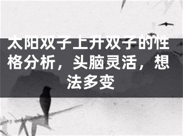 太阳双子上升双子的性格分析，头脑灵活，想法多变