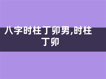 八字时柱丁卯男,时柱 丁卯
