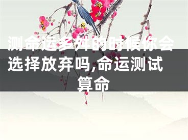 测命运多舛的时候你会选择放弃吗,命运测试算命