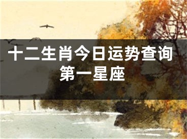 十二生肖今日运势查询第一星座