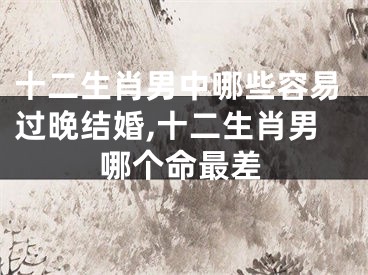 十二生肖男中哪些容易过晚结婚,十二生肖男哪个命最差