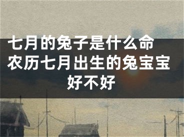 七月的兔子是什么命 农历七月出生的兔宝宝好不好