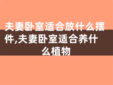 夫妻卧室适合放什么摆件,夫妻卧室适合养什么植物