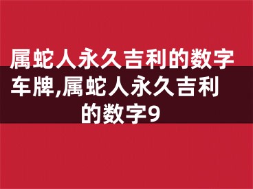 属蛇人永久吉利的数字车牌,属蛇人永久吉利的数字9