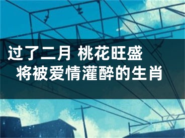 过了二月 桃花旺盛 将被爱情灌醉的生肖