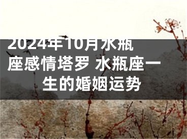 2024年10月水瓶座感情塔罗 水瓶座一生的婚姻运势