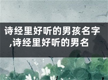 诗经里好听的男孩名字,诗经里好听的男名
