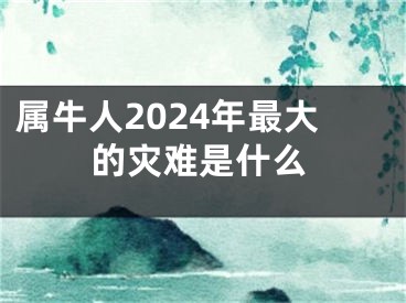 属牛人2024年最大的灾难是什么