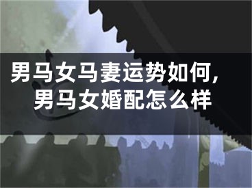男马女马妻运势如何,男马女婚配怎么样