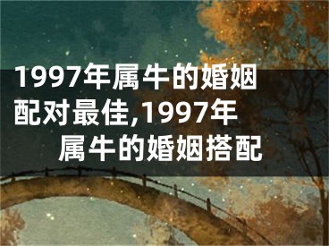 1997年属牛的婚姻配对最佳,1997年属牛的婚姻搭配