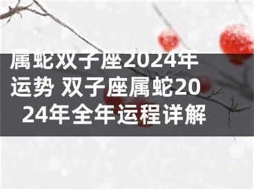 属蛇双子座2024年运势 双子座属蛇2024年全年运程详解