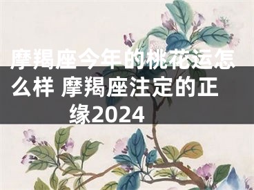 摩羯座今年的桃花运怎么样 摩羯座注定的正缘2024