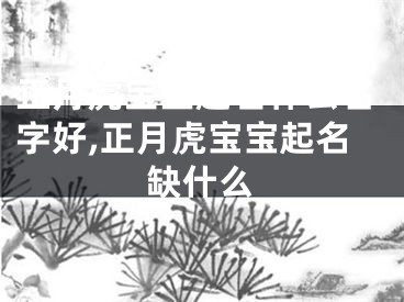 正月虎宝宝起名什么名字好,正月虎宝宝起名缺什么