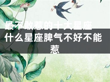 最不敢惹的十大星座 什么星座脾气不好不能惹