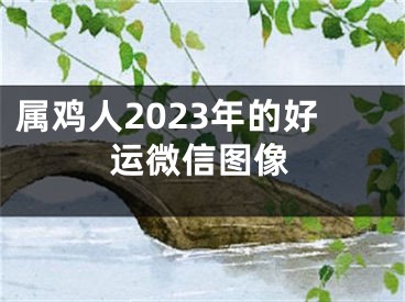属鸡人2023年的好运微信图像