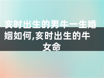 亥时出生的男牛一生婚姻如何,亥时出生的牛女命