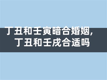 丁丑和壬寅暗合婚姻,丁丑和壬戌合适吗