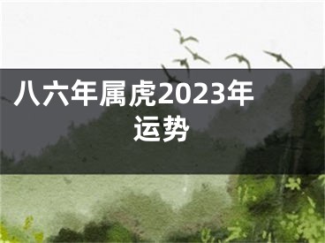 八六年属虎2023年运势