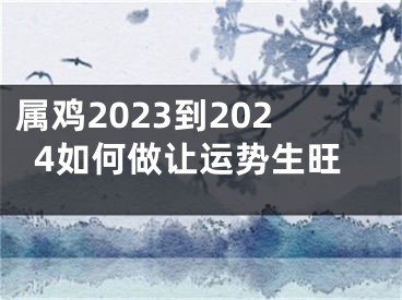 属鸡2023到2024如何做让运势生旺