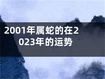 2001年属蛇的在2023年的运势