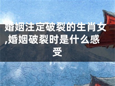 婚姻注定破裂的生肖女,婚姻破裂时是什么感受