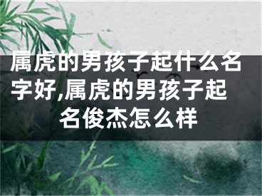 属虎的男孩子起什么名字好,属虎的男孩子起名俊杰怎么样