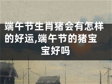 端午节生肖猪会有怎样的好运,端午节的猪宝宝好吗