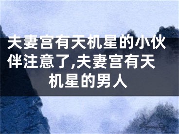 夫妻宫有天机星的小伙伴注意了,夫妻宫有天机星的男人