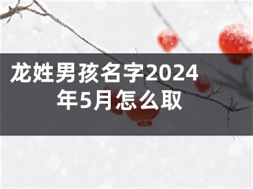 龙姓男孩名字2024年5月怎么取