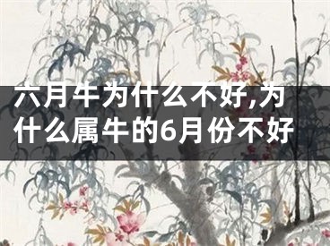 六月牛为什么不好,为什么属牛的6月份不好