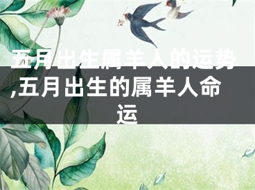 五月出生属羊人的运势,五月出生的属羊人命运