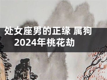 处女座男的正缘 属狗2024年桃花劫