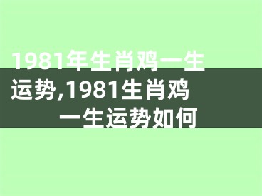 1981年生肖鸡一生运势,1981生肖鸡一生运势如何
