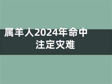 属羊人2024年命中注定灾难