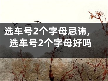 选车号2个字母忌讳,选车号2个字母好吗