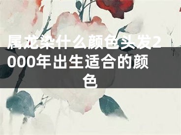 属龙染什么颜色头发2000年出生适合的颜色